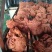【熟牛肉】熟腱子肉全熟酱香龟腱肉常年供应量大从优