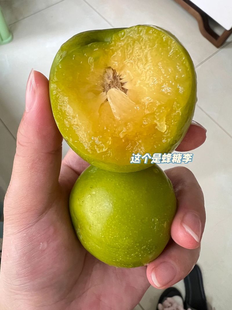 晚熟蜂糖李苗