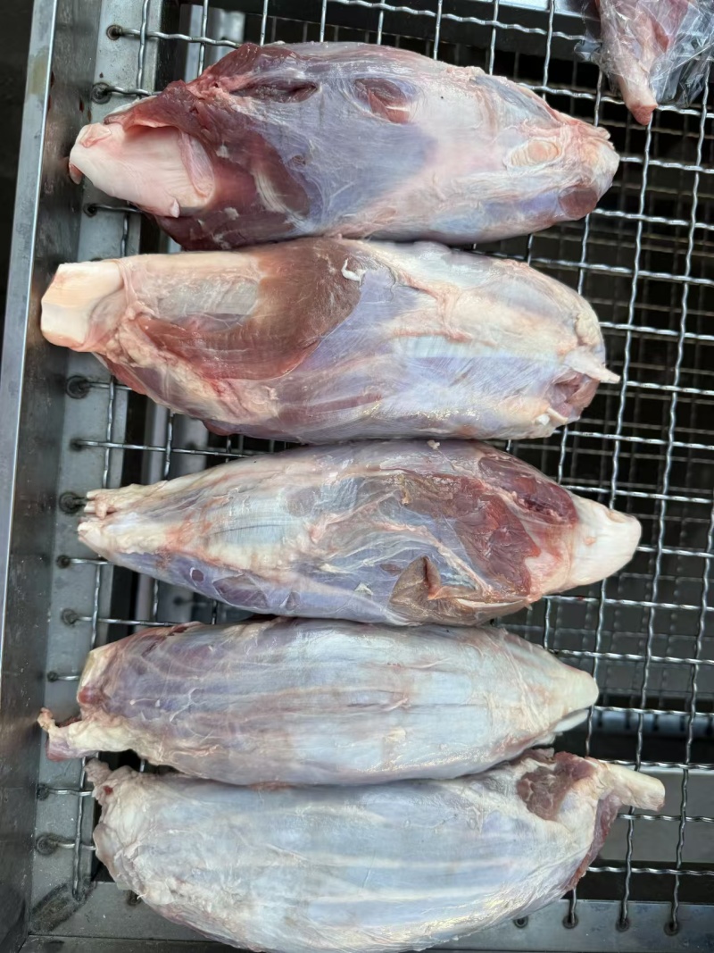 金钱腱大家供应个头均匀无油纯干不调理量大从优