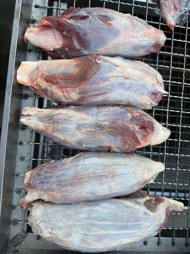 金钱腱大家供应个头均匀无油纯干不调理量大从优