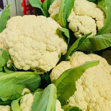松花菜安徽有机花实花花菜承接商超配菜代收代发全国市