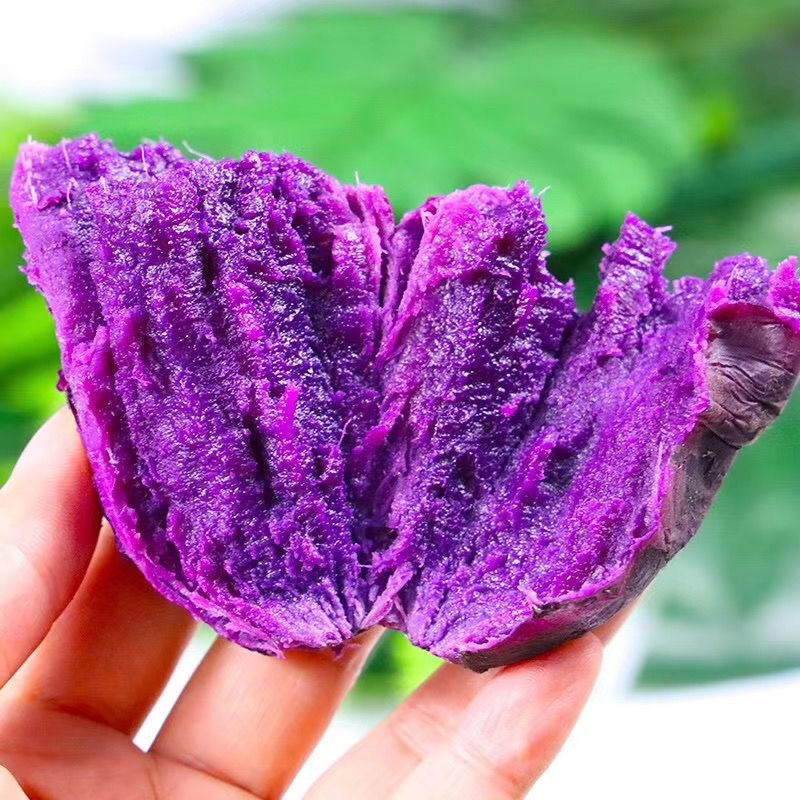2024新鲜紫薯-香甜软糯紫罗兰紫薯小紫薯紫山芋地瓜番薯2