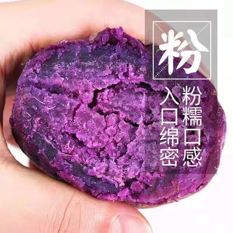 【今日特价】高山紫薯新鲜紫罗兰蜜薯红薯紫薯地瓜批发1件代发