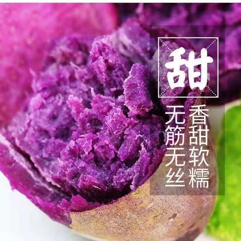 【今日特价】高山紫薯新鲜紫罗兰蜜薯红薯紫薯地瓜批发1件代发