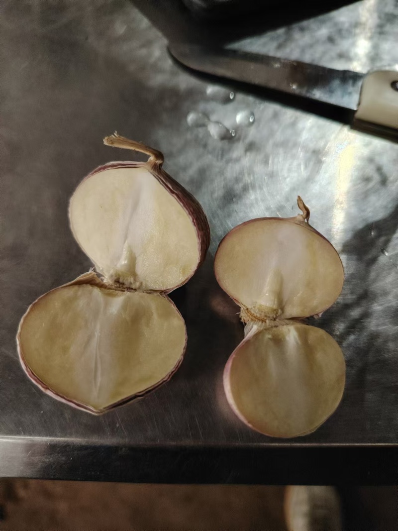 辽宁精品独头蒜