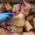 火烧牛掌牛蹄掌大量供应厂家直发量大从优质量保证