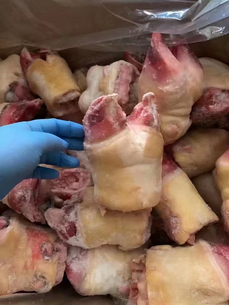 火烧牛掌牛蹄掌大量供应厂家直发量大从优质量保证