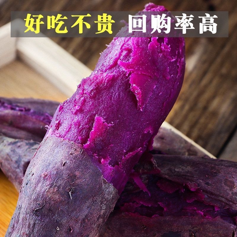 沙地紫薯新鲜番薯地瓜软糯香甜蜜薯板栗沙地薯糖心山芋农家蔬