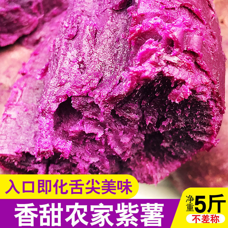 沙地紫薯新鲜番薯地瓜软糯香甜蜜薯板栗沙地薯糖心山芋农家蔬