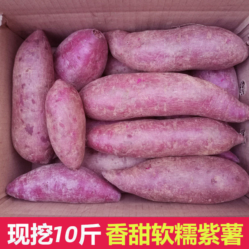 沙地紫薯新鲜番薯地瓜软糯香甜蜜薯板栗沙地薯糖心山芋农家蔬