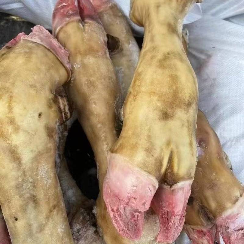 牛蹄火烧牛蹄大量供应厂家直发保质保量资质齐全