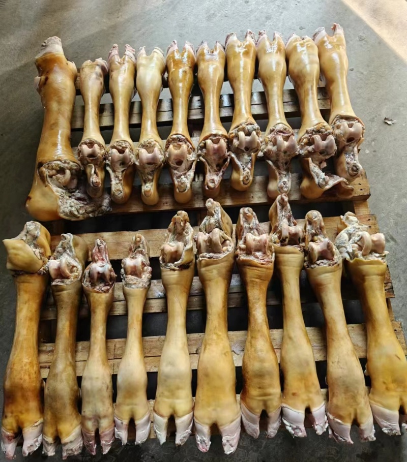 牛蹄火烧牛蹄大量供应厂家直发保质保量资质齐全