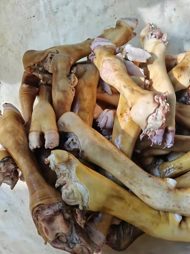 牛蹄火烧牛蹄大量供应厂家直发保质保量资质齐全