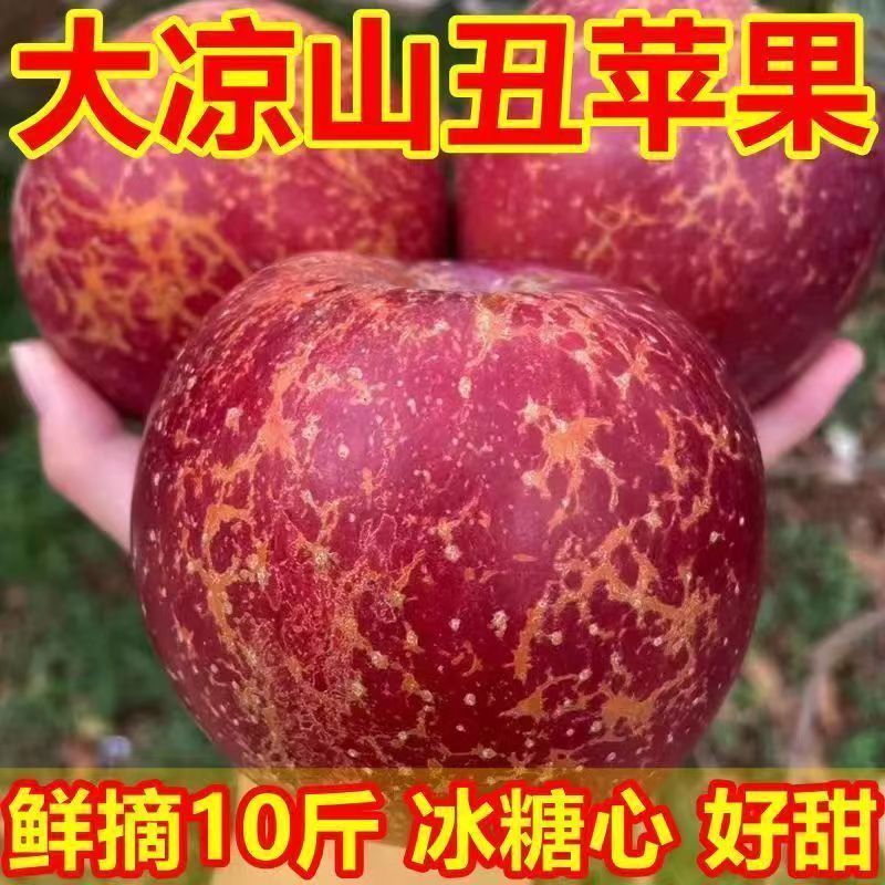 【爆甜】正宗大凉山盐源丑苹果冰糖心当季新鲜红富士苹果水果整箱