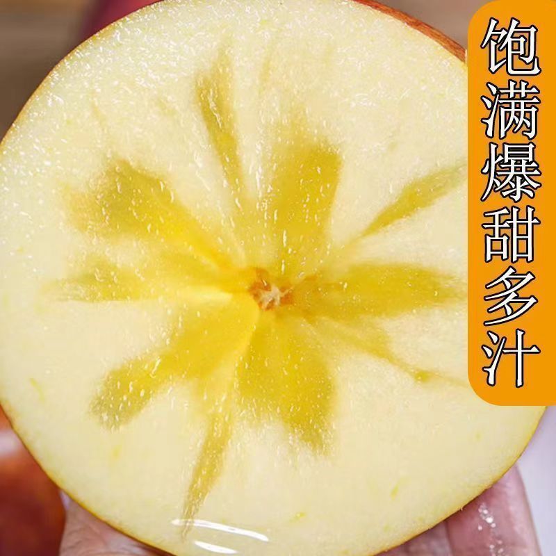 【爆甜】正宗大凉山盐源丑苹果冰糖心当季新鲜红富士苹果水果整箱