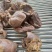 牛心五香全熟牛心大量供应厂家直发可视频看货