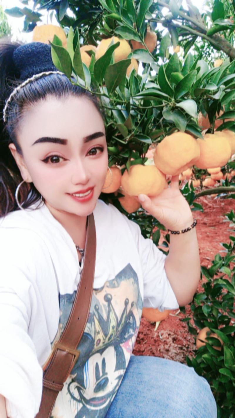 云南建水精品椪柑大量上市，基地实拍看上的老速联系！