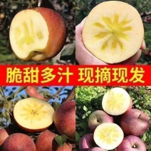 现摘现发】正宗大凉山冰糖心丑苹果脆甜应季新鲜水果红富士苹