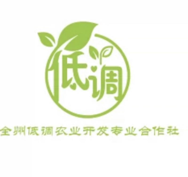 橙子干片新货上市