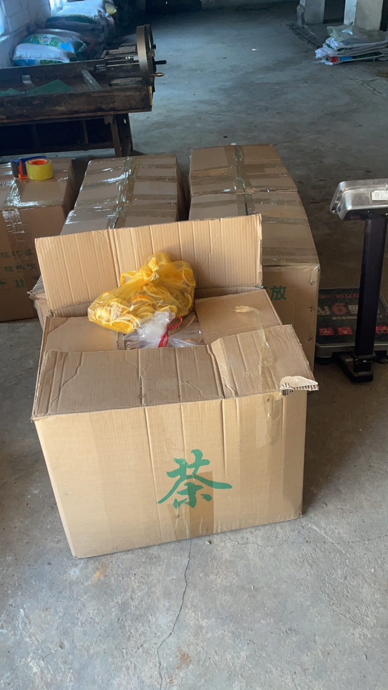 橙子干片新货上市