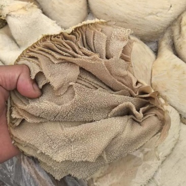 牛百叶大量供应厂家直发质量保证资质齐全量大从优