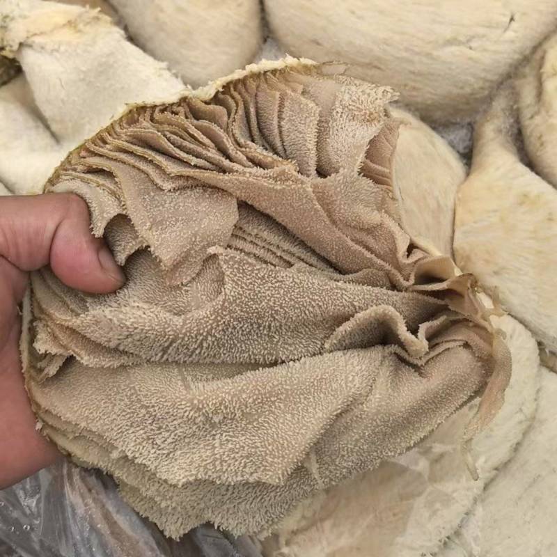 牛百叶大量供应厂家直发质量保证资质齐全量大从优