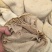 牛百叶大量供应厂家直发质量保证资质齐全量大从优