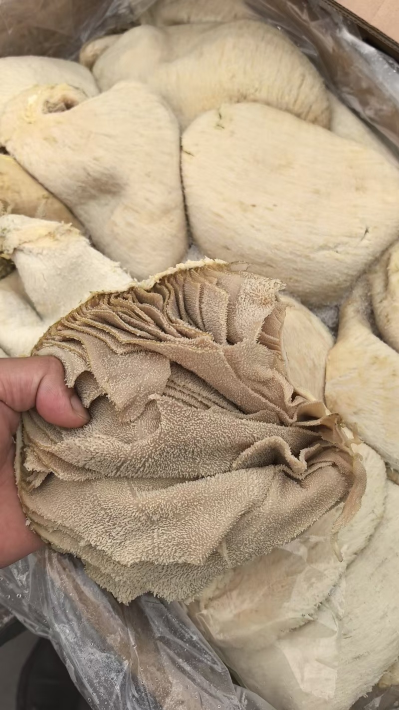 牛百叶大量供应厂家直发质量保证资质齐全量大从优
