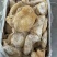 金钱肚纯干金钱肚牛肚厂家直发不伐不泡水量大从优