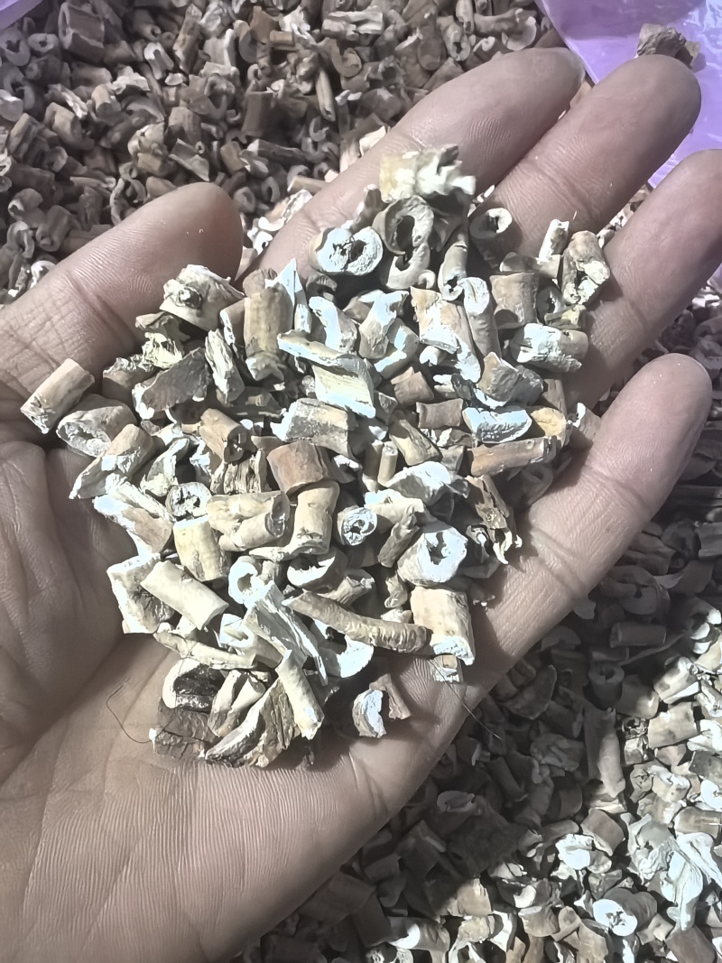 2024年抽芯刮皮牡丹