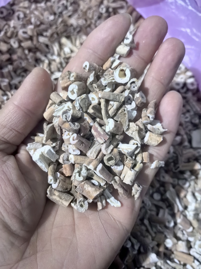 2024年抽芯刮皮牡丹