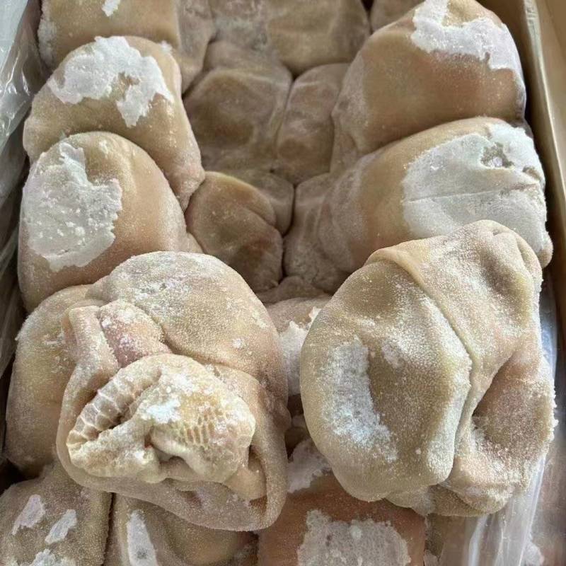 羊肚生羊肚大量供应厂家直发质量保证资质齐全