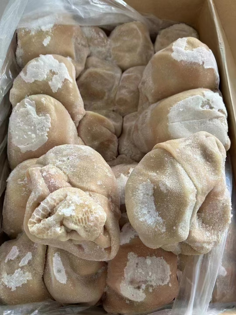 羊肚生羊肚大量供应厂家直发质量保证资质齐全