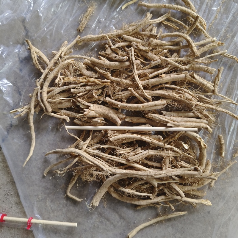 白鲜皮七年大货现货五吨