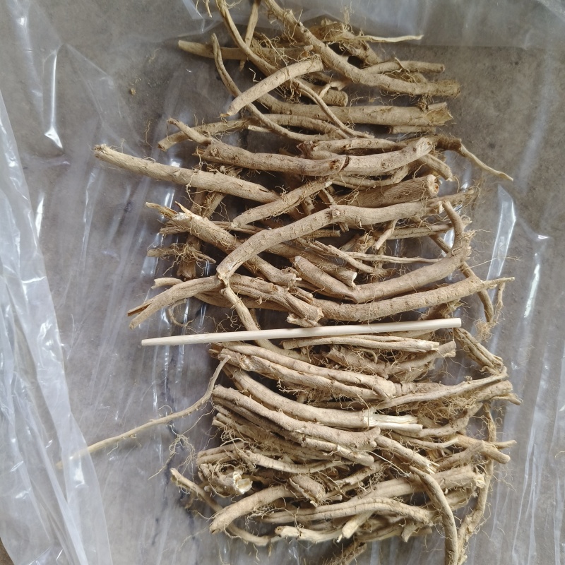 白鲜皮七年大货现货五吨