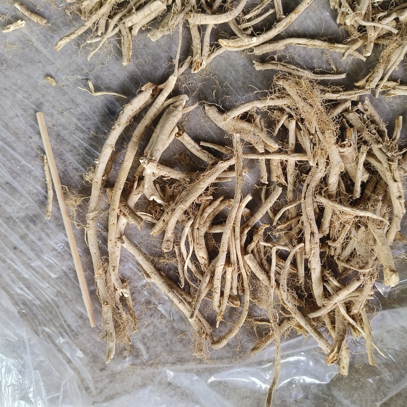 白鲜皮七年大货现货五吨