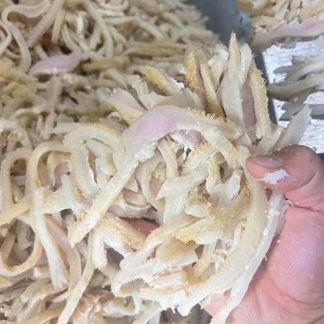牛肚丝五香牛肚丝大量供应厂家直发价格优惠全国发