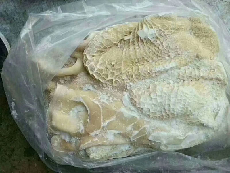 源头厂家直发半成品牛肚。寻找长期客户支持看货。