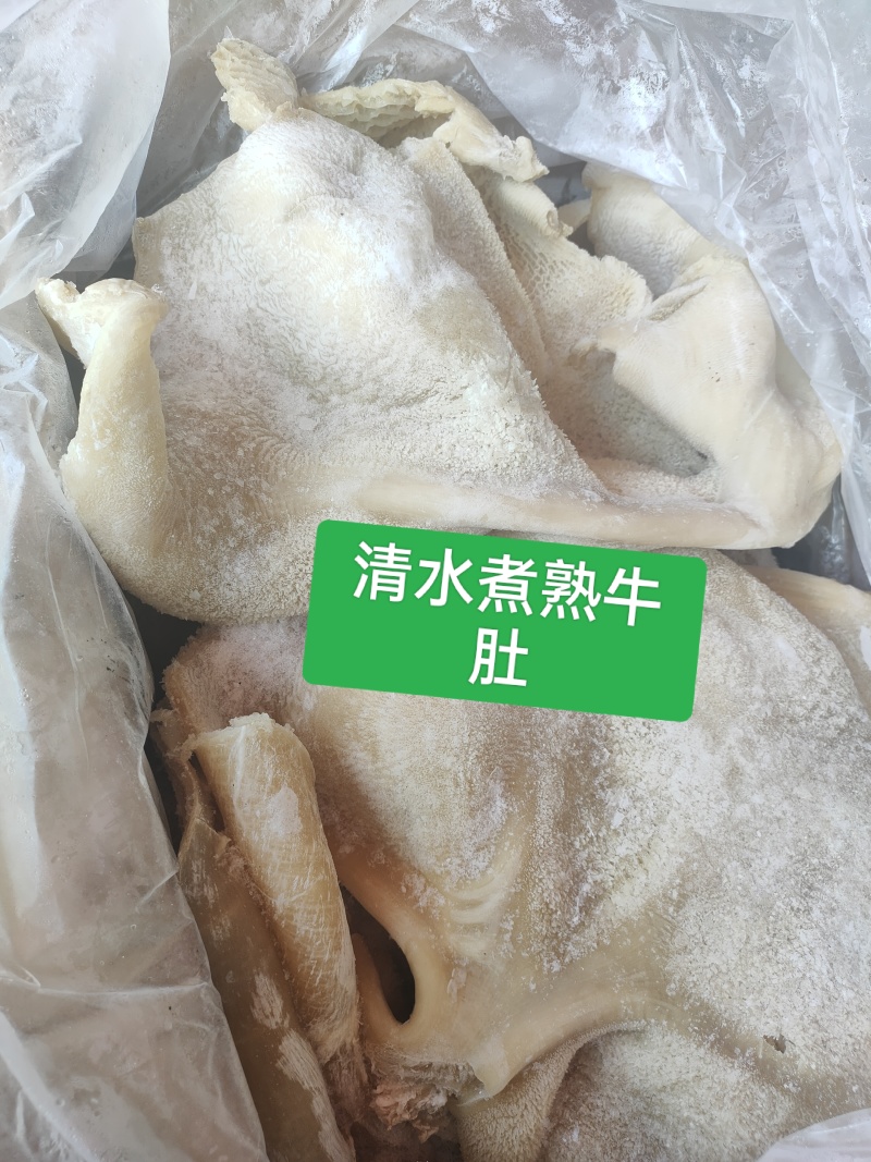 源头厂家直发半成品牛肚。寻找长期客户支持看货。