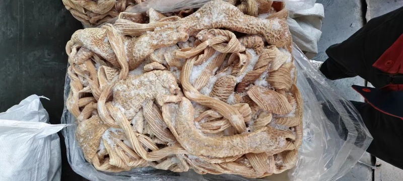 牛大肠大量供应厂家直发价格优惠全国发货量大从优