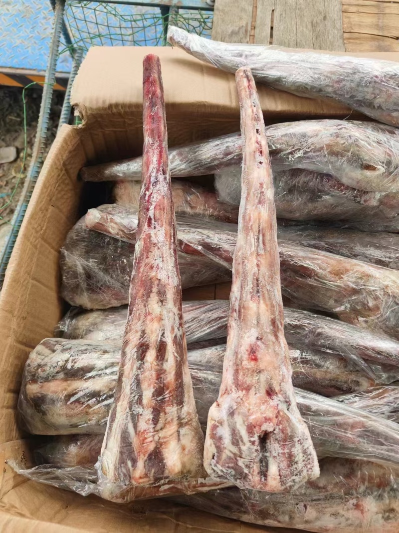 精品牛尾大量供应厂家直发价格优惠全国发货量大从
