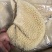 金钱肚全熟五香金钱肚大量供应厂家直发全国发货