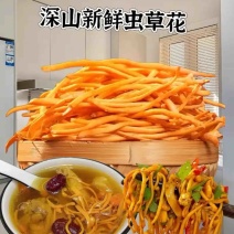 鲜虫草花
