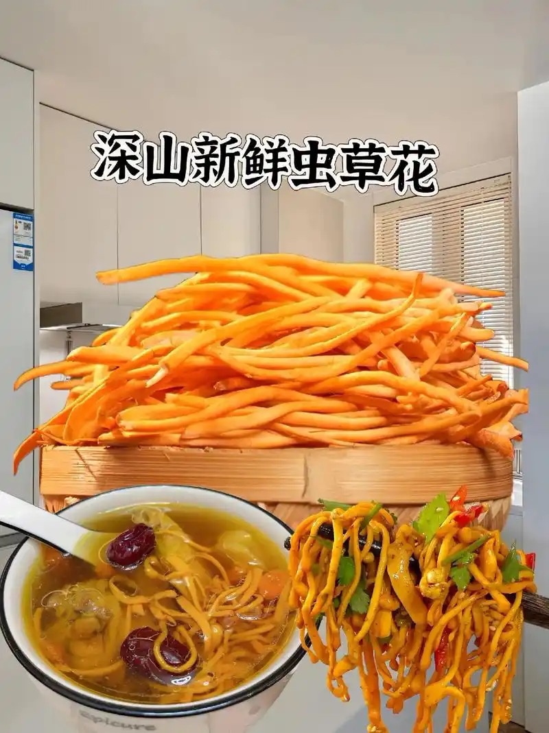鲜虫草花
