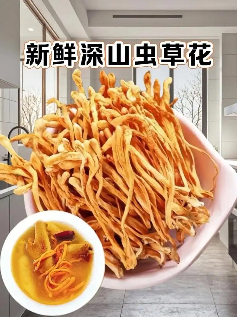 鲜虫草花