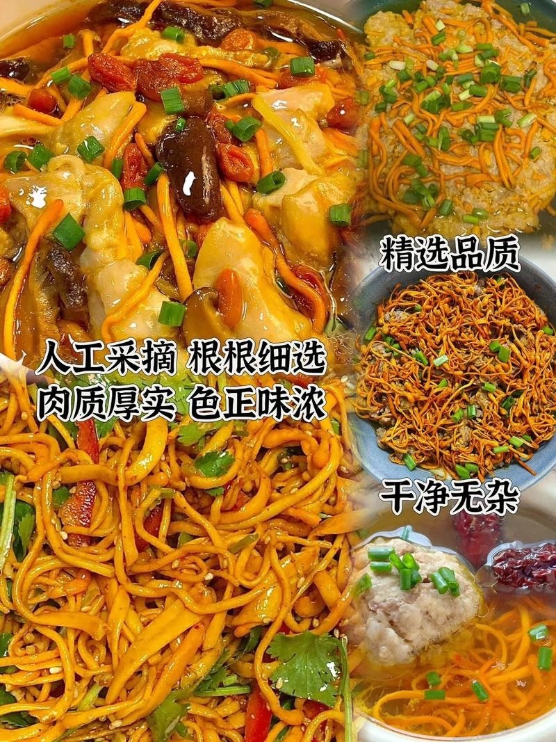鲜虫草花