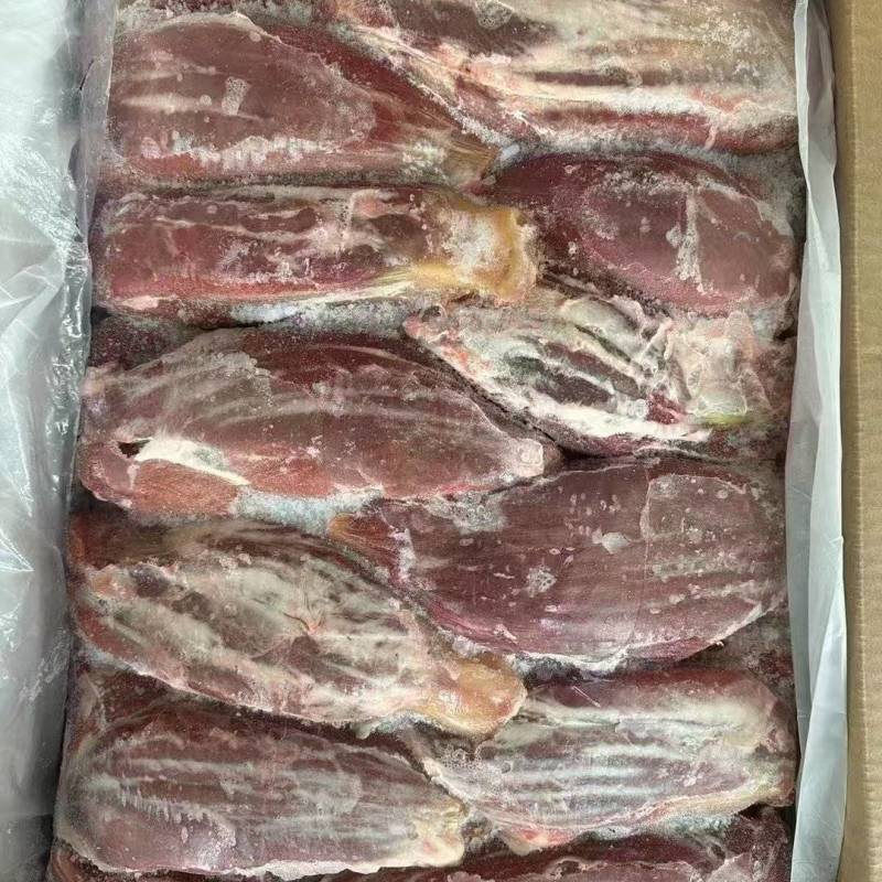 牛排腱牛腱子肉厂家直发质量保证手续齐全量大从优