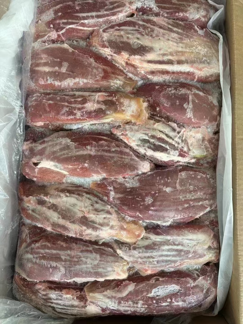 牛排腱牛腱子肉厂家直发质量保证手续齐全量大从优