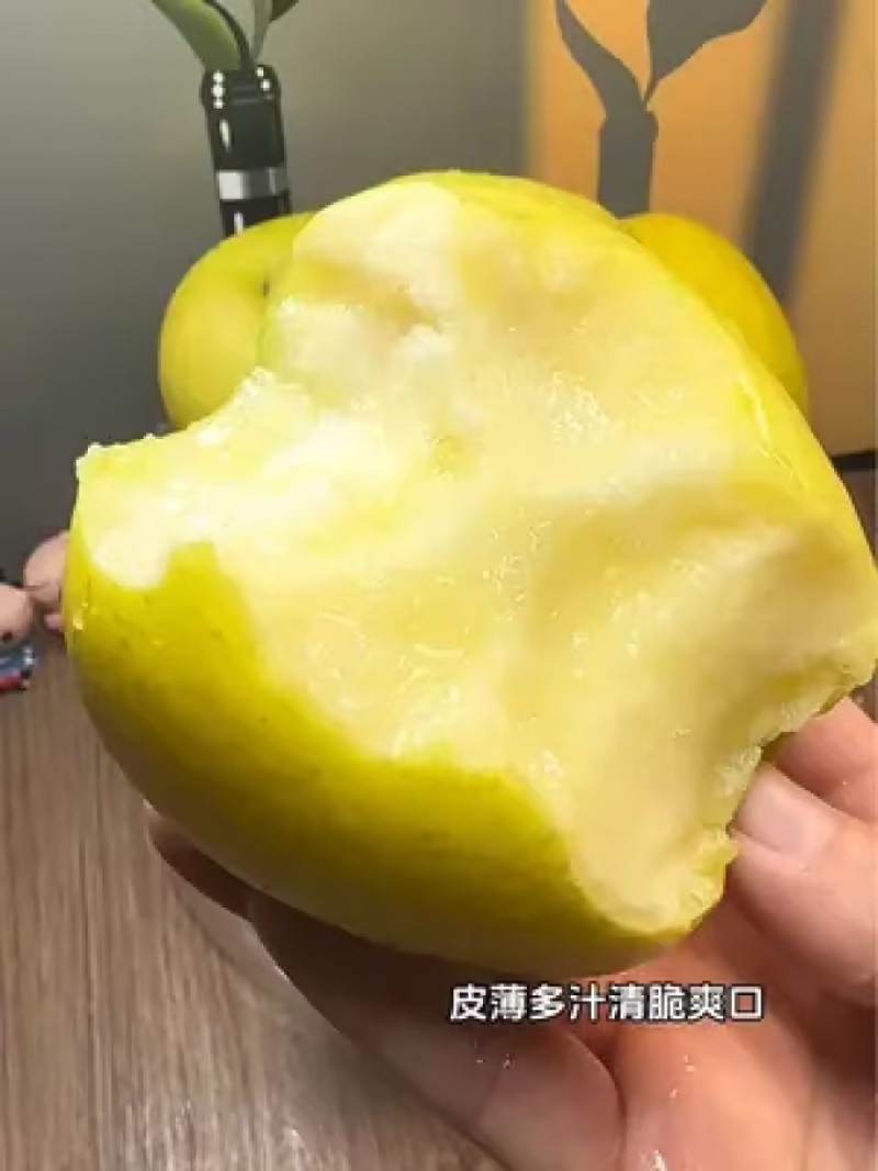 瑞雪苹果苗基地直销苗圃现挖品种纯正现挖现发