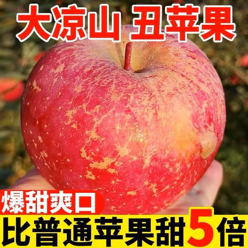 【大凉山丑苹果】正宗盐源苹果当季新鲜孕妇水果富士苹果批发包邮
